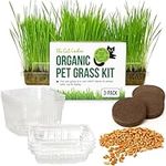 Cat Grass Growing Kit - 3 Pack Organic Seed, Soil and BPA Free containers (Non GMO). All of Our Seed is Locally sourced!