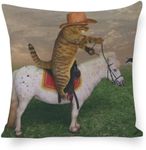 Cushion Covers 45 x 45 Funny Cat Tr