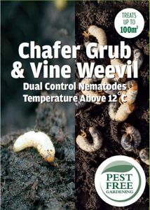 Pest Free 
