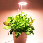 Grow Light, CANAGROW Full Spectrum 