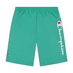 Champion Big and Tall Shorts for Me