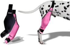 Ombit Dog Knee Brace for Torn ACL H