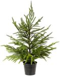 WBHome 2ft Tabletop Artificial Norf