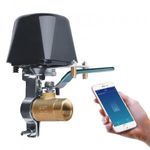 Smart Water Valve