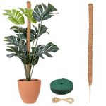 EcoNour Moss Pole for Plants – 63 inches | Monstera Plant Support for Plant Climbing and Growth | Elevate Your Indoor Garden, Plant Support for Indoor Potted Plants to Grow Upwards