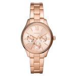 Fossil BQ3691 Ladies Rye Watch