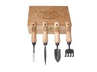 Dewit Bonsai Tool Kit in Wooden Box