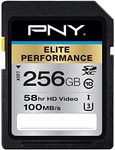 PNY Elite Performance 256 GB High S