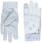 Under Armour Women's Standard Radar Softball Gloves, (100) White/White/Halo Gray, Large