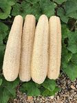 YEMTAL Natural Loofah Sponges Organic Luffa Bath Shower Sponge Exfoliating Body Back Scrubber for Men Women Adults SPA Beauty Bathing Daily Care - 4 PCS