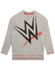 WWE Boys Sweatshirt Grey 11-12 Years