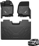 3W Floor Mats Fit for Ford F150/F-1