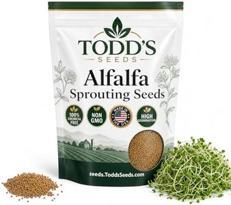 Todd's See