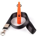 TDL Gun Dog Training Whistle with Lanyard - Dog Whistle with Loud, Solid Tone & Far Reaching Sound - Ideal High-Frequency Long-Distance Dog Recall Whistle for Most Breeds - Orange