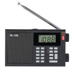 Portable Digital Radio