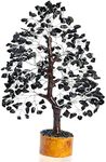 Black Tourmaline Gemstone Tree of L