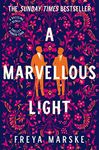 A Marvellous Light: A dazzling, queer romantic fantasy (The Last Binding Book 1)