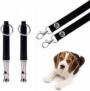 2 Pack Dog