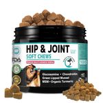 Daily Pet Care Hip and Joint Supplements For Dogs | Dog Joint Supplements to Reduce Stiffness and Improve Mobility with Organic Turmeric, Glucosamine, Chondroitin and Green Lipped Mussel For Dogs