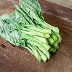 Broccoli Seeds for Planting GAI LAN