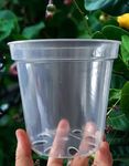 VietCanPro Plant Pot 10 pcs Clear Nursery Pots 5 inch Transparent Plant pots with Drainage, Seeding pots, Orchid pots, Clear Plant Pot