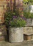 Annibells Large Round Vintage Grey Patterned Galvanised Metal Garden Flower Tub Pot Planters (Medium)