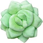 Green Philosophy Co. Plush Leaf Pillow - 3D Accent Succulent Leaf Throw Pillow for Couch Sofa Living Room Home Decor for Plant Lovers, Garden Lovers, Green Thumb Family & Friends