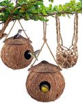 KATUMO Hummingbird Houses, Natural 