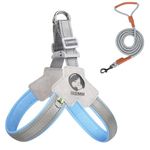 Dog Harness and Leash Set for large dogs,adjustable,with soft pads anti-friction, strong wear-resistant easy to clean, anti-pull anti-escape dog, very easy to wear (L)