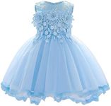 ODASDO Baby Girl Flower Dress Infant Wedding Bridesmaid Birthday Party Pageant Tutu Tulle Princess Dresses for 6-24M, Sky Blue, 12-18 Months