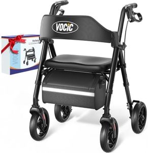 VOCIC Walk
