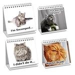 Cat Lover Gifts for Women - Funny D