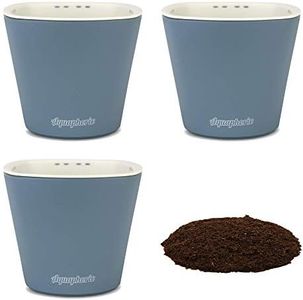 Window Garden – Aquaphoric Self Watering Mini Planter Pots (3 Pack) – Grow On Indoor Sill. Perfect for Potting Small Plants, Herbs, African Violets, Succulents, or Start Seedlings.