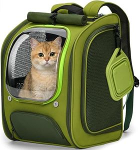 Pecute Cat