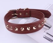 Spiked Dog Collars