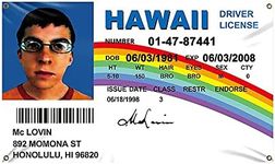 McLovin ID Flag 3x5Ft Fake Driver L