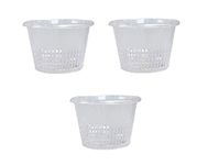 Plastic 8-inch Orchid/Hydroponics Pot, Semi Transparent Pot - Pack of 3