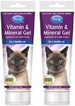 Pet-Ag Vitamin & Mineral Gel Supplement for Cats - 3.5 oz, Pack of 2 - Provides Basic Daily Vitamins & Minerals for Cats 4 Months and Older - Easy to Digest