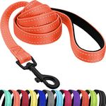 CollarDirect Nylon Dog Leash 5ft for Daily Outdoor Walking Running Training Heavy Duty Reflective Pet Leashes for Large, Medium & Small Dogs (Coral, Medium)