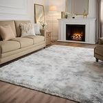 AENRUO Area Rug for Living Room Bedroom 8x10 Feet Fluffy Shag Carpet Non-Slip Plush Soft Rug for Kids Room Nursery Room High Pile Home Decor Light Grey