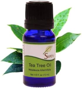 SVATV Tea Tree Essential Oil For Yoga Massage & Therapeutic Grade, Boost Uplifted Mood & Room fragrance Oil for Diffuser, Aromatherapy Oils, DIY Personal Care - 10ml