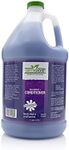Green Groom Dog Shampoo Plus Condit