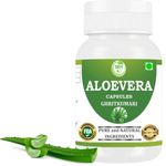 Morsan Healthcare Aloe Vera (Ghritkumari) Capsule | Pack of 60 x 500 MG. Vegetarian Capsules | Natural Herbal Supplement | GMP Certified | Gluten Free (Pack of 1)