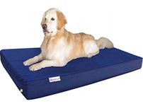 dogbed4less Durable Orthopedic Gel Memory Foam Waterproof Dog Bed for XL Dogs, 1680 Nylon Cover and Extra Cover, Jumbo 55X47X4 Inches, Blue