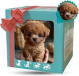 Realistic Robot Puppy - Realistic Robotic Puppy Toy with Walking, Barking & Tail Wagging, Interactive Lifelike Pet (A1)