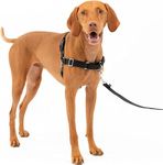 WapaW Premium No-Pull Dog Harness with Leash | Adjustable, Comfortable, and Durable | Stop Pulling Instantly | Front-Leash Attachment for Easy Control for Small Medium Large Dogs (Medium, Black)