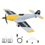 QI XING RC Plane Ready for Beginner