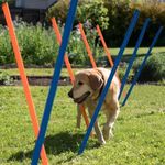 Pawise Pet Dogs Outdoor Games Agility Exercise Training Equipment Agility Starter Kit Jump Hoop Hurdle Bar 12PCS/116CM