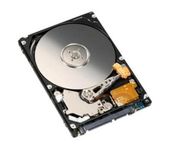 Bipra 2.5 Inch SATA Laptop Internal Hard Drive 5400 RPM 8MB Cache For Laptop/Mac/PS3 (320GB)