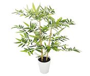 Closer2Nature 2ft 3” Artificial Golden Bamboo; Artificial Plants With White Pot, Great for Indoor and Outdoor, Realistic Lush Green Leaves; Perfect House Plants or Artificial Outdoor Plants